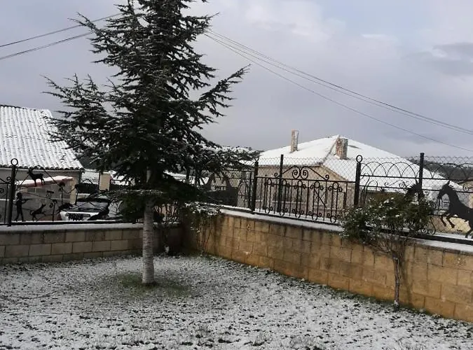 La Casa Nueva De Abejar